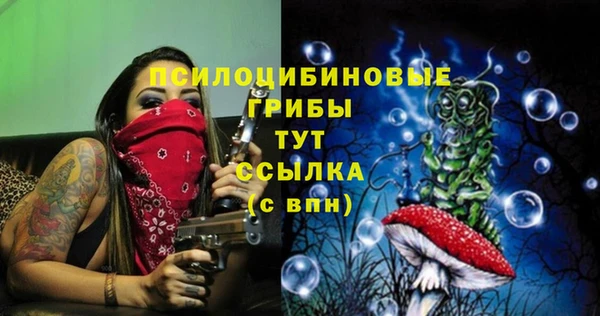 каннабис Горно-Алтайск